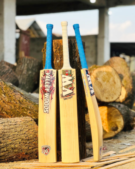 Top Grade Cricket bat leather game
