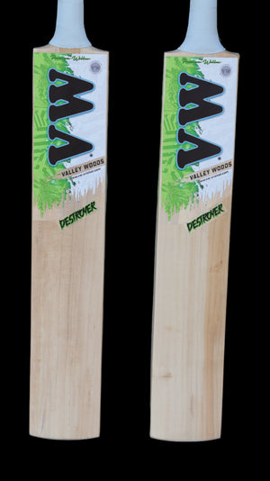 destroyer edition of kashmir willow cricket bat