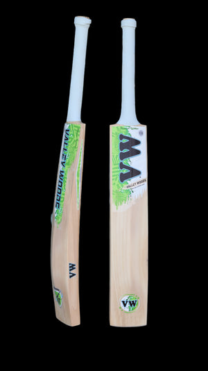 Kashmir Willow Cricket bat for leather ball | Destroyer valley woods