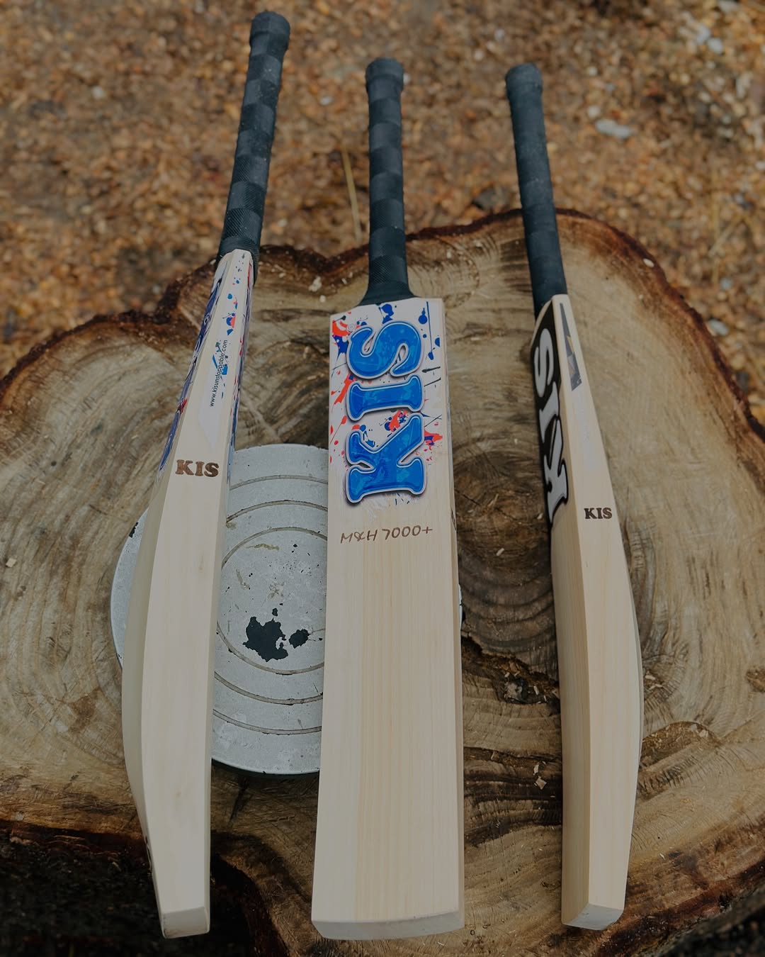 grade 1 kashmir willow cricket bat leather ball under 10000
