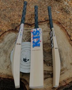 grade 1 kashmir willow cricket bat leather ball under 10000