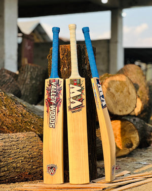 Best Kashmir willow Cricket bats