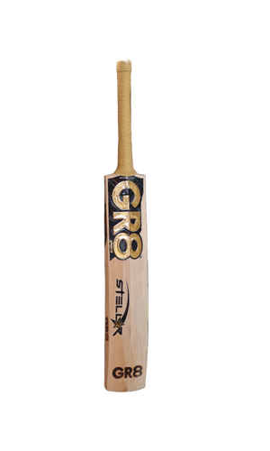 GR8 Bat Kashmir Willow | Top Gold | Stellar