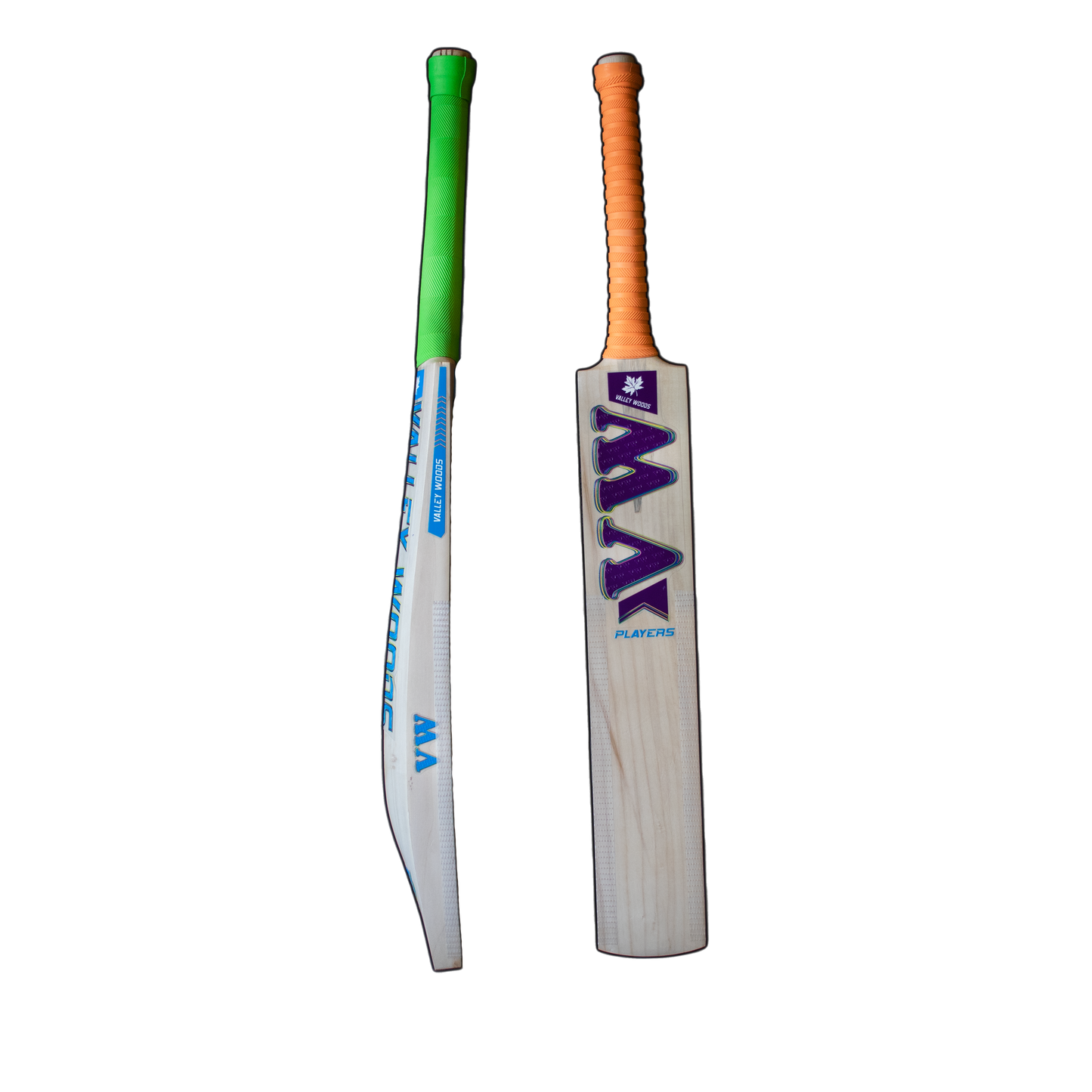 players profile kashmir willow cricket bat for pro players side edges and grains