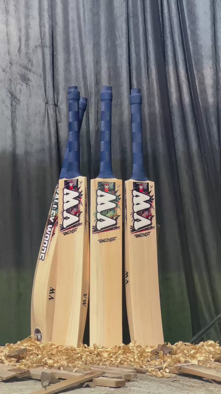 Hard Hitting Profile Cricket bat