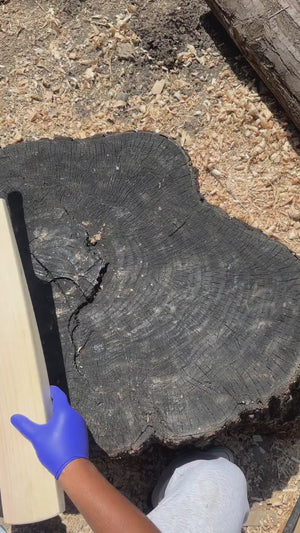 Katana Leather Cricket Bat | Grade 1 | Valley Woods