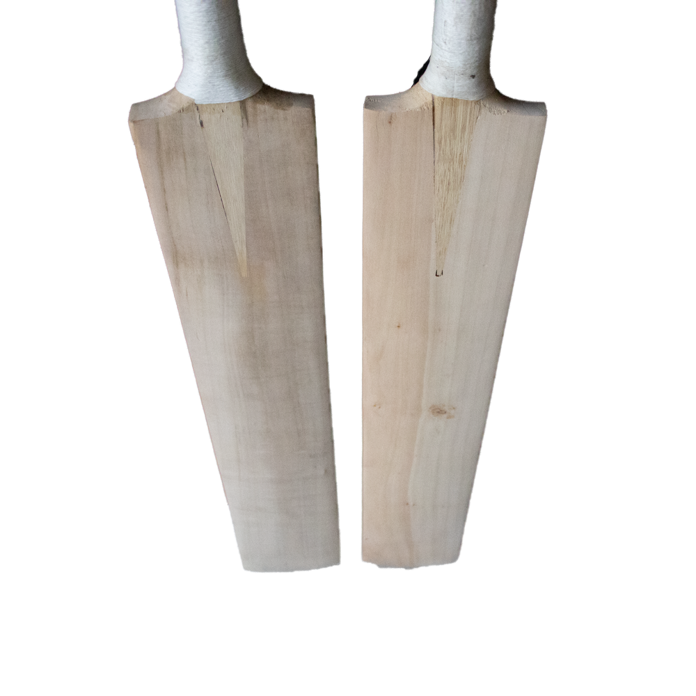 kashmir willow cricket bat grains of the pair of bat available online 