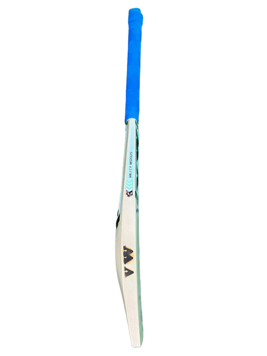 Kashmir willow cricket bat for Professional | VW - Spark